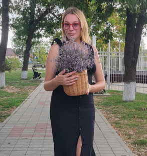 Статистика Дзен doMMari