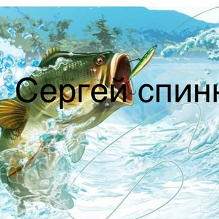 Статистика Дзен Сергей спиннингист