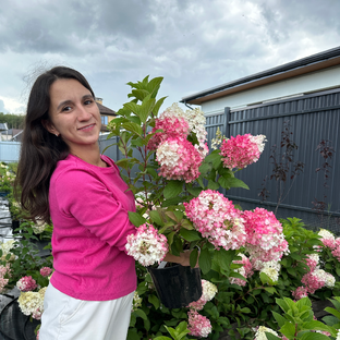 Статистика Дзен 🌸Семейный питомник гортензий и злаков🌾Пенза