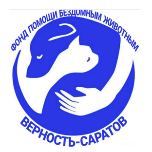 Дзен Фонд помощи бездомным животным «Верность-Саратов"  статистика