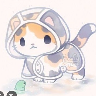 Статистика Дзен Даша с кошечками