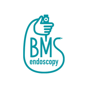 Статистика Дзен BMSendoscopy