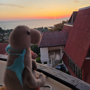 Дзен Ждунские приключения статистика