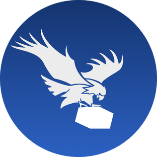 Статистика Дзен Eagleway