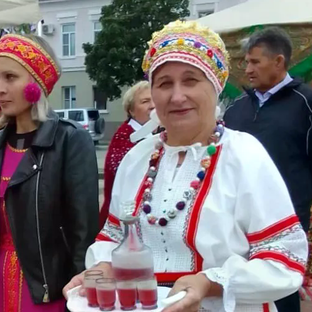 Статистика Дзен Село моё родное )(Елена Фролова)