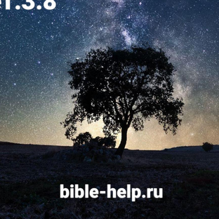 Статистика Дзен 6 дней - 6000 лет. Изучение Библии
