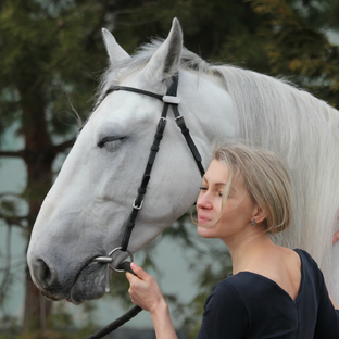 Статистика Дзен Мишина Ирина Александровна
