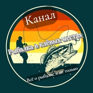 Статистика Дзен Рыбалка в клёвых местах.