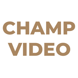 Статистика Дзен ЧЕМП ВИДЕО ПРОДАКШН
