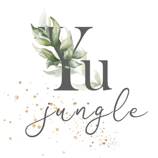 Статистика Дзен Yu jungle | Комнатные растения
