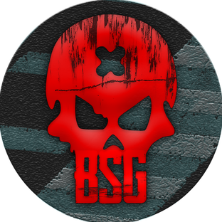 Статистика Дзен -BSG-