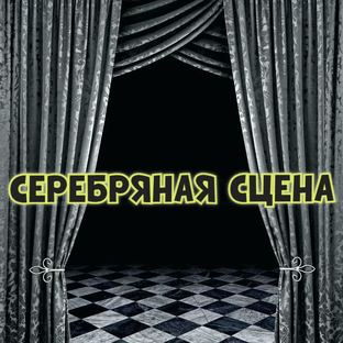 Статистика Дзен "Серебряная сцена" 