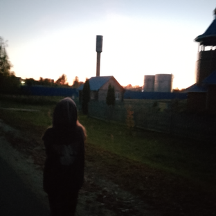 Дзен ✰𝓚𝓪𝓽𝔂𝓪✰ статистика