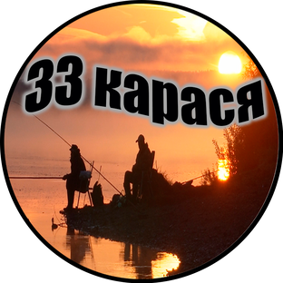 Статистика Дзен 33 карася