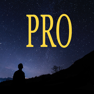 Статистика Дзен PRO
