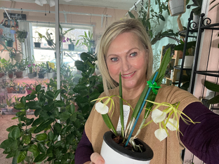 Статистика Дзен Svetlana’s Happy Orchids 