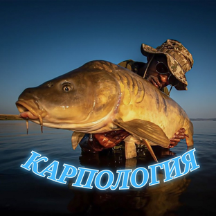 Статистика Дзен FishTime-время рыбалки 