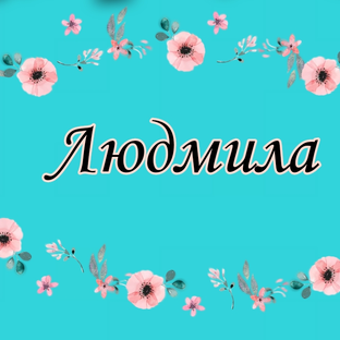 Статистика Дзен Людмила-В МИРЕ ЦВЕТОВ