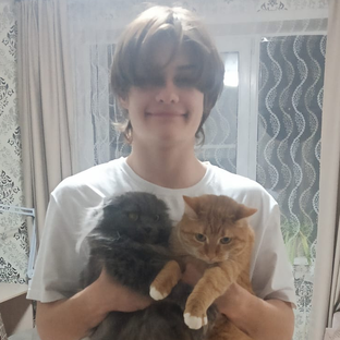 Статистика Дзен Роцкер