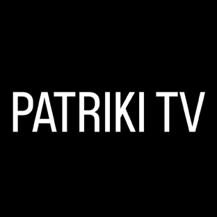 Статистика Дзен Патрики ТВ