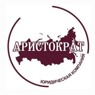 Статистика Дзен Юридическая компания "Аристократ"