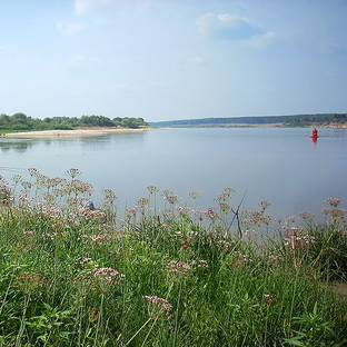 Рязанская Рыбалка