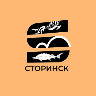 Статистика Дзен Storинск | Видео канал из Рыбинска |