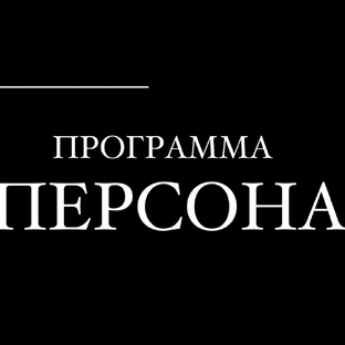 Статистика Дзен Программа-интервью "Персона"