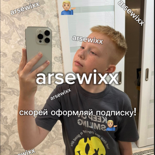 Статистика Дзен arsewixx 