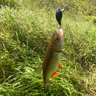 Статистика Дзен НОВЫЙ РЫБОЛОВ/ NEW FISHERMAN