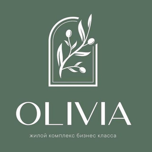 Статистика Дзен zhk.olivia
