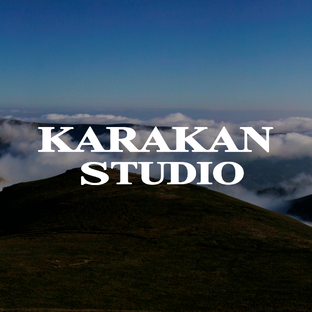 Статистика Дзен KARAKAN STUDIO