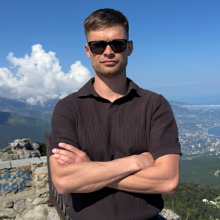 Статистика Дзен Лев Брусницын