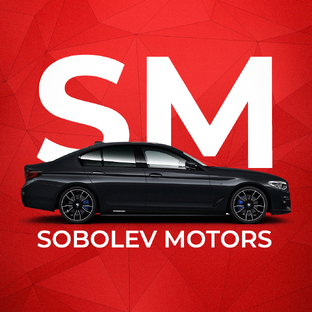 Статистика Дзен Sobolev Motors