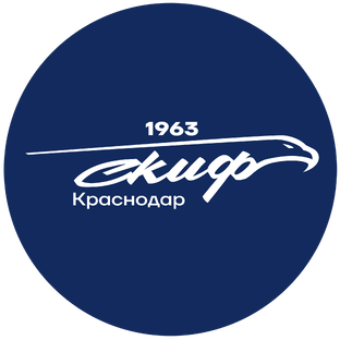 Статистика Дзен Гандбольный клуб СКИФ