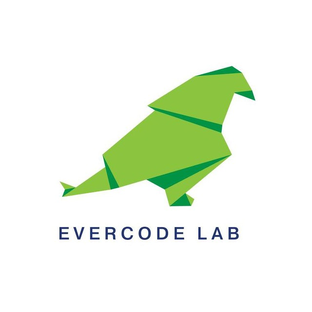 Статистика Дзен Evercode Lab