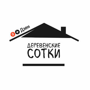 Статистика Дзен Деревенские Сотки