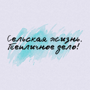 Статистика Дзен Сельская жизнь.Теплицы