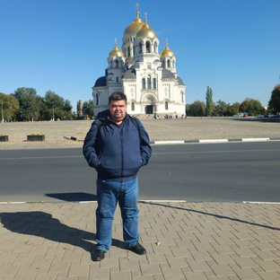 Статистика Дзен Социальная сфера