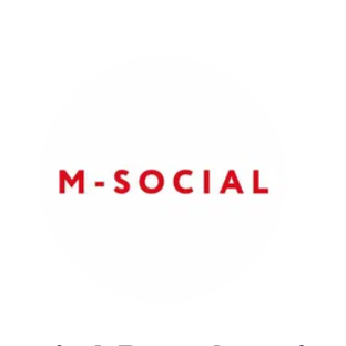 Статистика Дзен M-Social