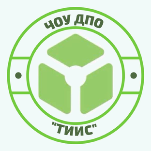 Статистика Дзен ЧОУ ДПО "ТИИС"