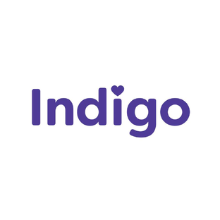 Дзен Коляски Indigo. Официальный канал статистика