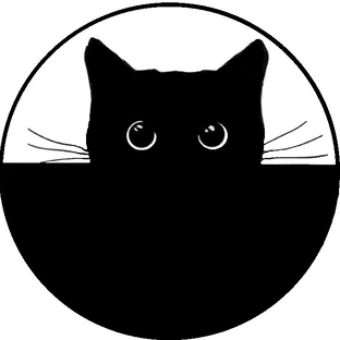 Статистика Дзен ИксКот
