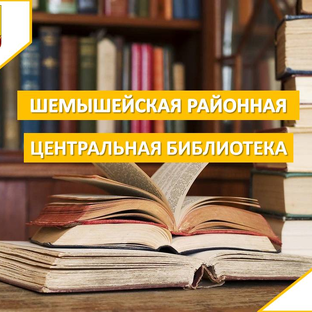 Статистика Дзен Шемышейская районная центральная библиотека