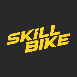 Статистика Дзен SKILL BIKE