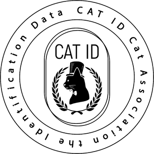 Статистика Дзен CATID Международное Фелинологическое Объединение
