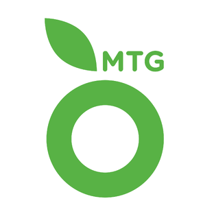 Статистика Дзен MTG
