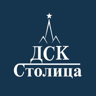 Статистика Дзен ДСК-Столица