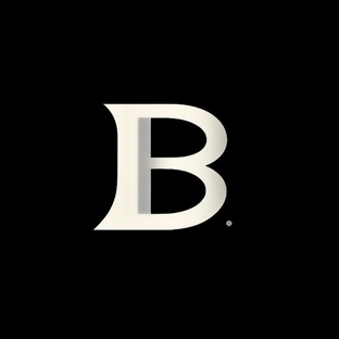 Статистика Дзен Birkaim