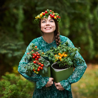 Статистика Дзен ЧЕРИ ЛЕС